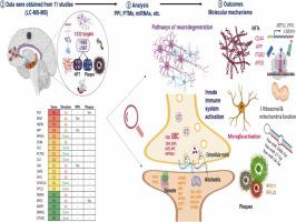 Molecular mechanisms implicated in protein changes in the Alzheimer’s disease human hippocampus