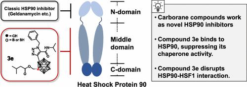 Discovery of Disubstituted Carboranes as Inhibitors of Heat Shock Protein 90–Heat Shock Factor 1 Interaction