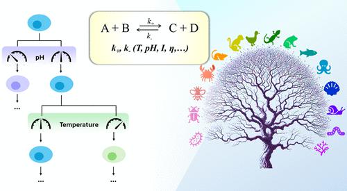 Physicochemical Perspective of Biological Heterogeneity