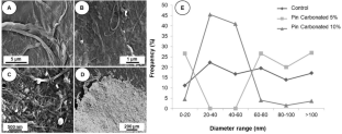 Use of carbonated cellulose micro/nanofibrils in the coating of sack kraft paper