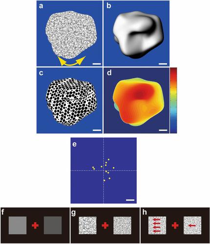 Extraction of three-dimensional shapes in glaucoma patients in response to monocular depth cues