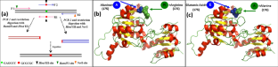 Investigating the Phi Use Efficiency of a NADP Utilizing Phosphite Dehydrogenase in Rice