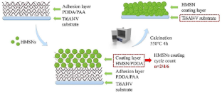 Bioinspired Hollow Mesoporous Silica Nanoparticles Coating on Titanium Alloy with Hierarchical Structure for Modulating Cellular Functions