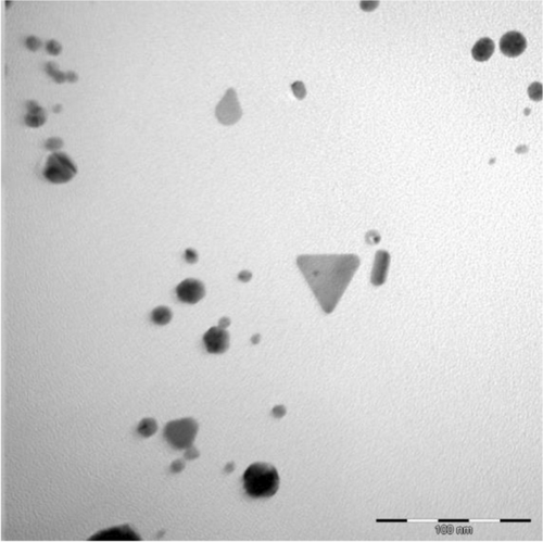 Evaluation of Lippia scaberrima Sond. and Aspalathus linearis (Burm.f.) R. Dahlgren extracts on human CYP enzymes and gold nanoparticle synthesis: implications for drug metabolism and cytotoxicity