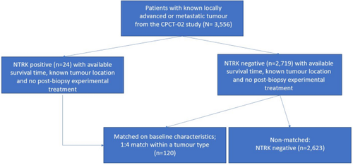 Estimating the Prognostic Value of the NTRK Fusion Biomarker for Comparative Effectiveness Research in The Netherlands