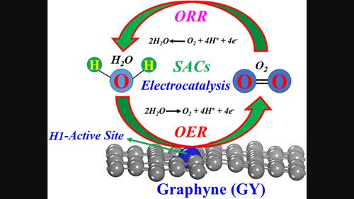 Improving the Efficiency of Water Splitting and Oxygen Reduction Via Single-Atom Anchoring on Graphyne Support