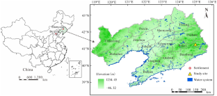 Can tree rings indicate deformation of talus slope in the cold region?