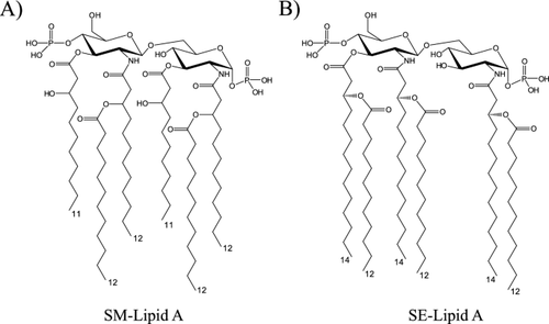 On the Microstructure and Dynamics of Membranes Formed by Lipid as From Stenotrophomonas maltophilia, a Member of Gut Microbiome: An EPR Study