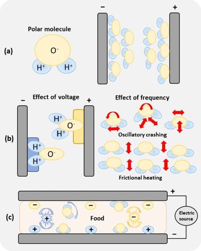 Advances in Food Processing Through Radio Frequency Technology: Applications in Pest Control, Microbial and Enzymatic Inactivation