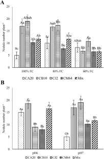 Symbiotic efficiency of Bradyrhizobium symbiovars on Chamaecytisus albidus plants grown under water stress and acidic pH