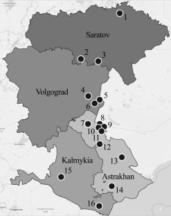 New Data on Tortricidae (Lepidoptera) of the Lower Volga Region