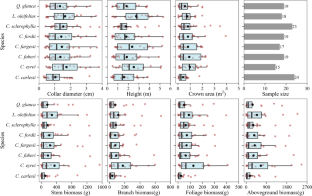 Species-specific and generalized allometric biomass models for eight Fagaceae species in the understory of evergreen broadleaved forests in subtropical China