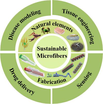 Sustainable biomedical microfibers from natural products