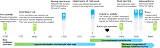 While clearing the forests: The social–ecological memory of trees in the Anthropocene