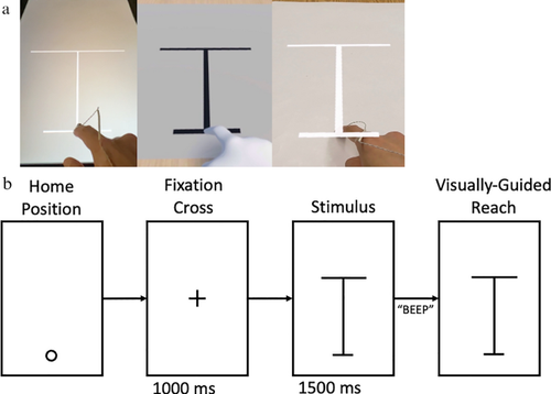 The geometry of the vergence-accommodation conflict in mixed reality systems