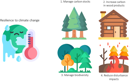 Shaping and enhancing resilient forests for a resilient society