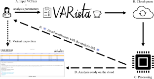 VARista: a free web platform for streamlined whole-genome variant analysis across T2T, hg38, and hg19