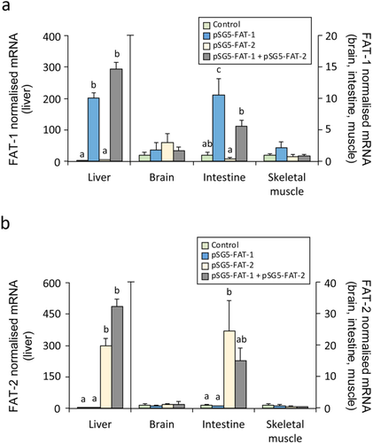 Chitosan-based delivery of fish codon-optimised Caenorhabditis elegans FAT-1 and FAT-2 boosts EPA and DHA biosynthesis in Sparus aurata