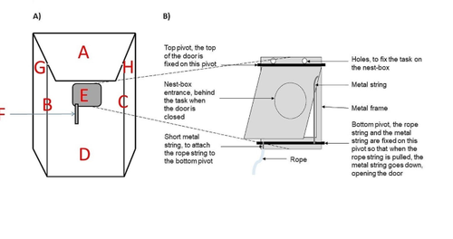 How to solve novel problems: the role of associative learning in problem-solving performance in wild great tits Parus major