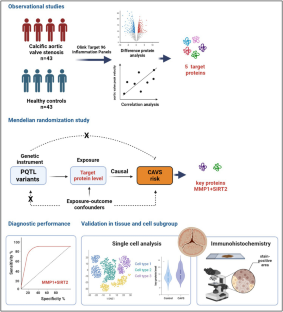 Identification of Circulating Inflammatory Proteins Associated with Calcific Aortic Valve Stenosis by Multiplex Analysis