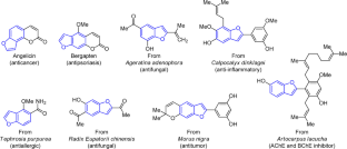 Visible-light-mediated synthesis of functionalized benzofurans: an update