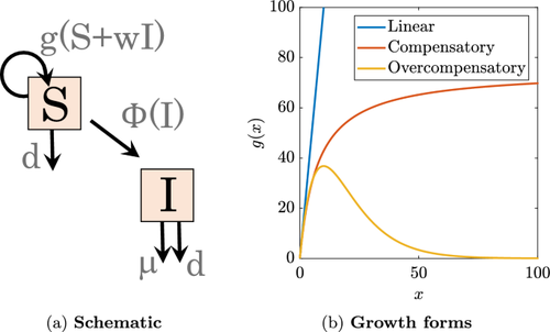 Infection-induced increases to population size during cycles in a discrete-time epidemic model