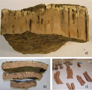 Trichoderma atrobrunneum associated with yellow stain defect of cork planks and critical values of TCA for wine cork stoppers industry