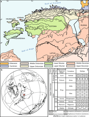 Evidence for cryptic molting behavior in the trilobite Toxochasmops vormsiensis from the Upper Ordovician Katian Kõrgessaare Formation, Estonia