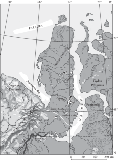 Dynamics of the Vegetation of Central Yamal in the Holocene