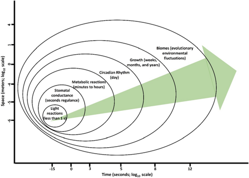 Correction to: The quest for time in plant physiology: a processual perspective