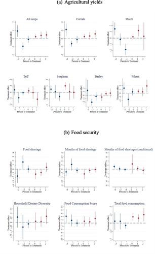 The impacts of widespread agricultural interventions on yields and food security in Ethiopia☆