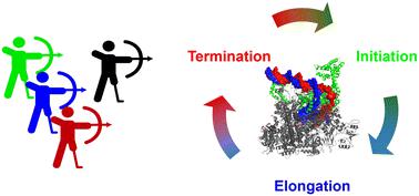 Inhibition of bacterial RNA polymerase function and protein–protein interactions: a promising approach for next-generation antibacterial therapeutics