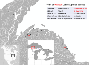 Use of stable isotopes to document lake to stream movements of brook charr Salvelinus fontinalis: a case study from southern Lake Superior