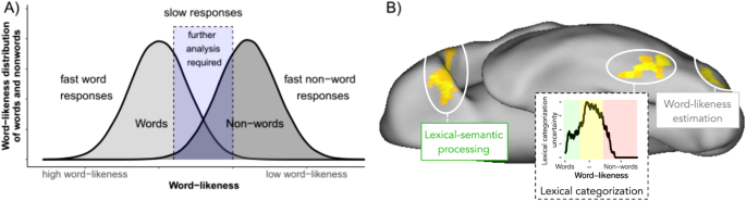 Investigating lexical categorization in reading based on joint diagnostic and training approaches for language learners