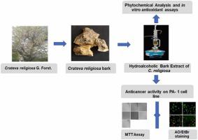 In Vitro Anticancer Efficacy of Hydroalcoholic Extract From Crateva religiosa G. Forst. Bark on Human Ovarian Cancer Cells