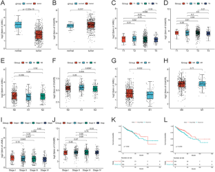 JAML inhibits colorectal carcinogenesis by modulating the tumor immune microenvironment