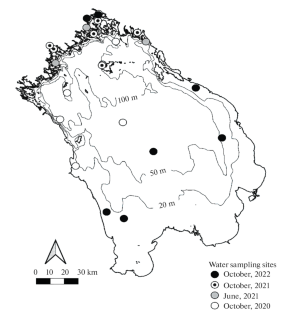 The Vertical Distribution of Microplastics in the Water Column of Lake Ladoga