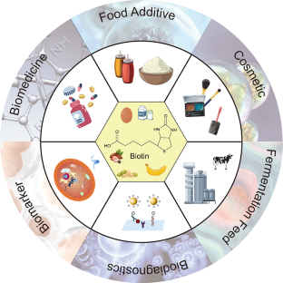 Advances in biotin biosynthesis and biotechnological production in microorganisms