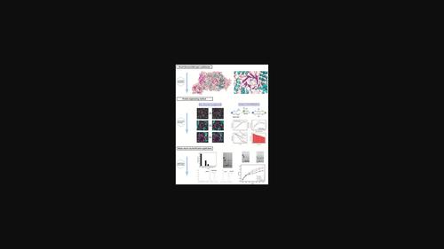 Protein Engineering of Novel Thermostable Pullulanase from Geobacillus stearothermophilus and Starch Saccharification Application