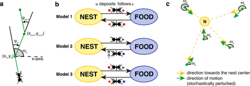 A stochastic model of ant trail formation and maintenance in static and dynamic environments