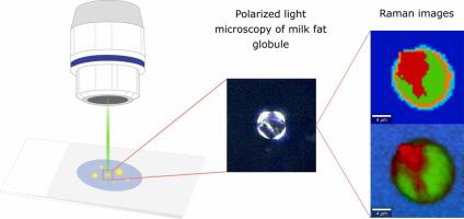 The exploration of milk fat crystallization in milk fat globules by confocal Raman microscopy