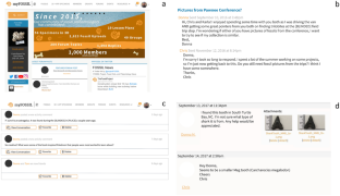 Collections of Practice as High-Level Activity in a Digital Interest-Based Science Community