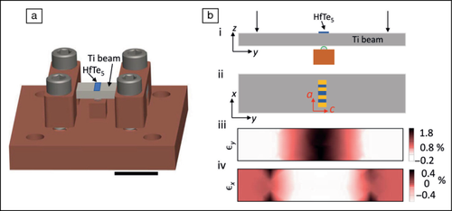 Unlocking topological phase transitions in HfTe5 through strain