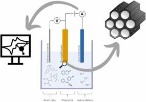 Synthesis and characterization of ordered mesoporous carbon-based materials for electrochemical detection of environmental pollutants