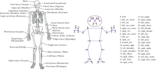 On Mobile Pose Estimation and Action Recognition Design and Implementation