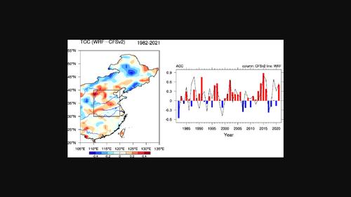 Midsummer precipitation prediction over eastern China by the dynamic downscaling method