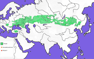 Comparative Weevil Diversity (Coleoptera, Curculionoidea) in Different Parts of the Russian Steppe Zone