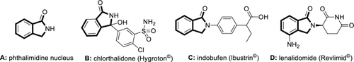 Fungal phthalimidines-chemodiversity, bioactivity and biosynthesis of a unique class of natural products