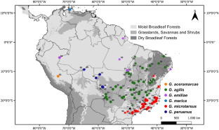 New data from South American hotspots uncover a greater diversity in Gracilinanus (Didelphimorphia: Didelphidae) mouse opossums