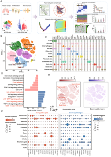 Integrated analysis of single-cell RNA-seq and bulk RNA-seq reveals immune suppression subtypes and establishes a novel signature for determining the prognosis in lung adenocarcinoma